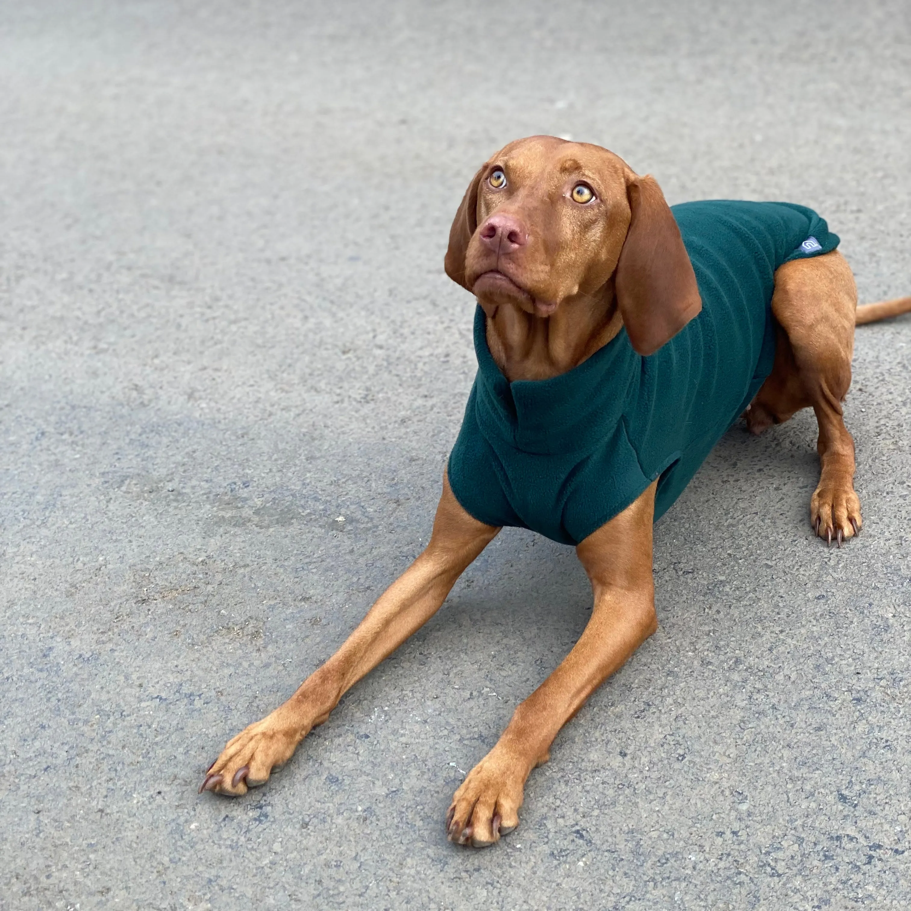 Large Breed Dog Fleece Jumper