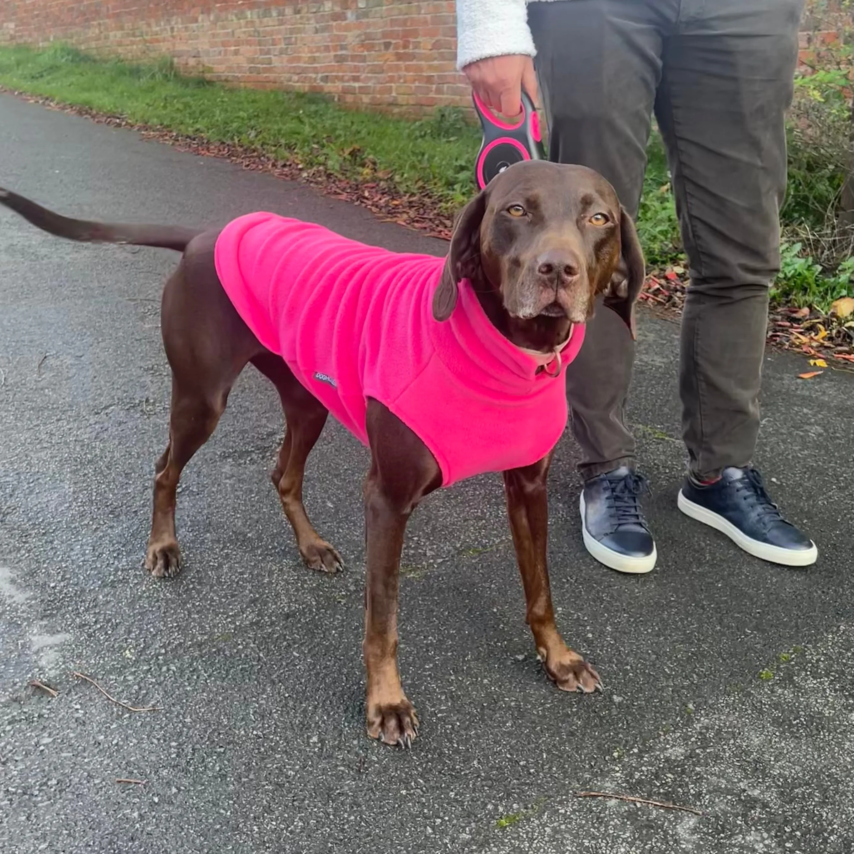 Large Breed Dog Fleece Jumper