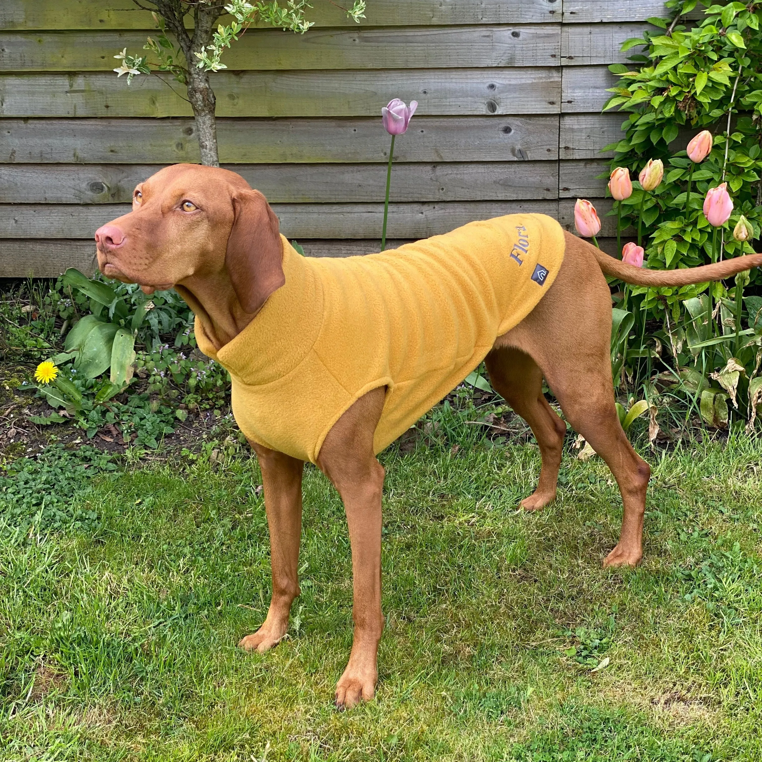 Large Breed Dog Fleece Jumper