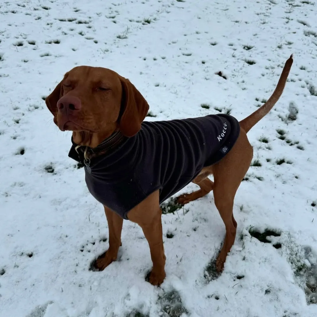 Large Breed Dog Fleece Jumper