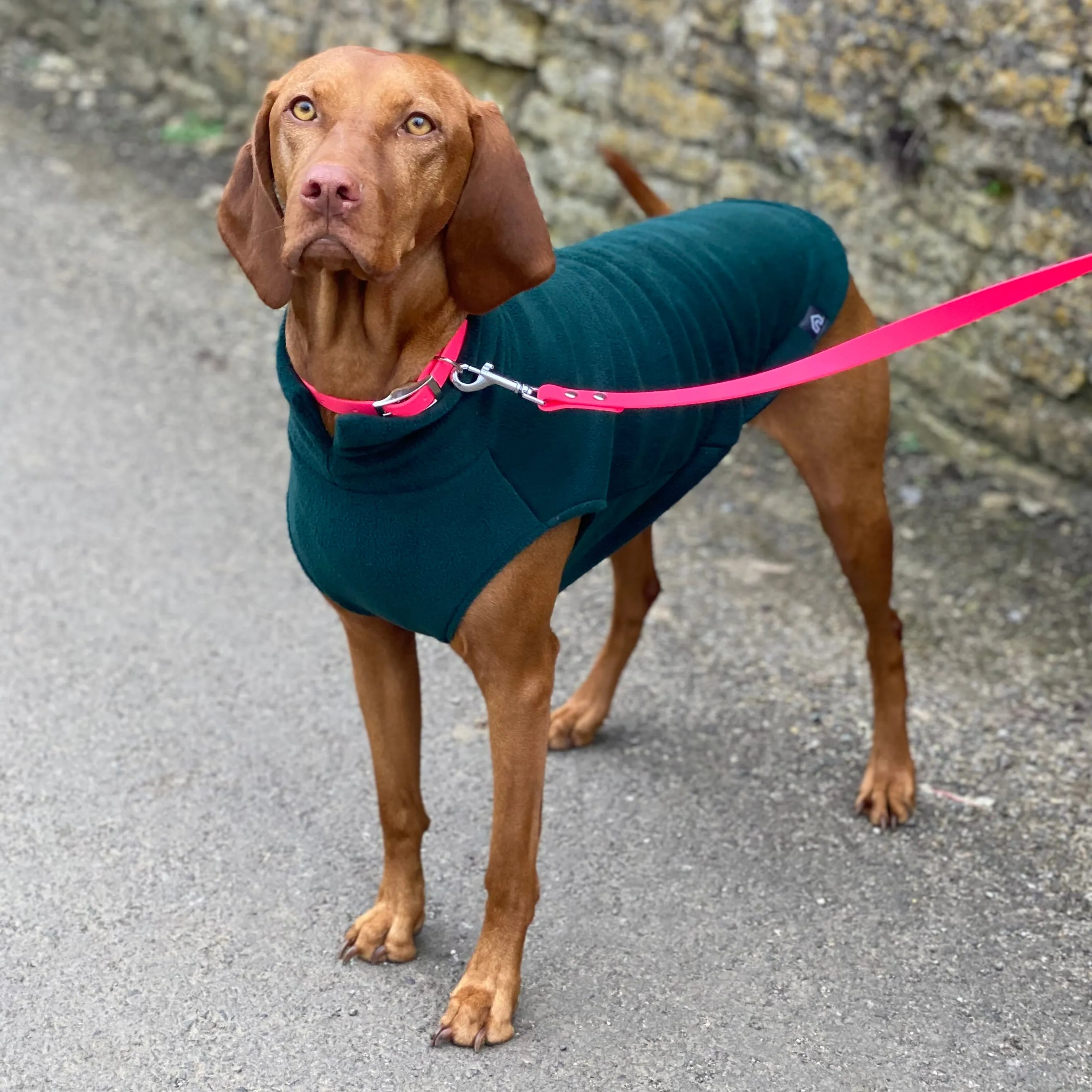 Large Breed Dog Fleece Jumper