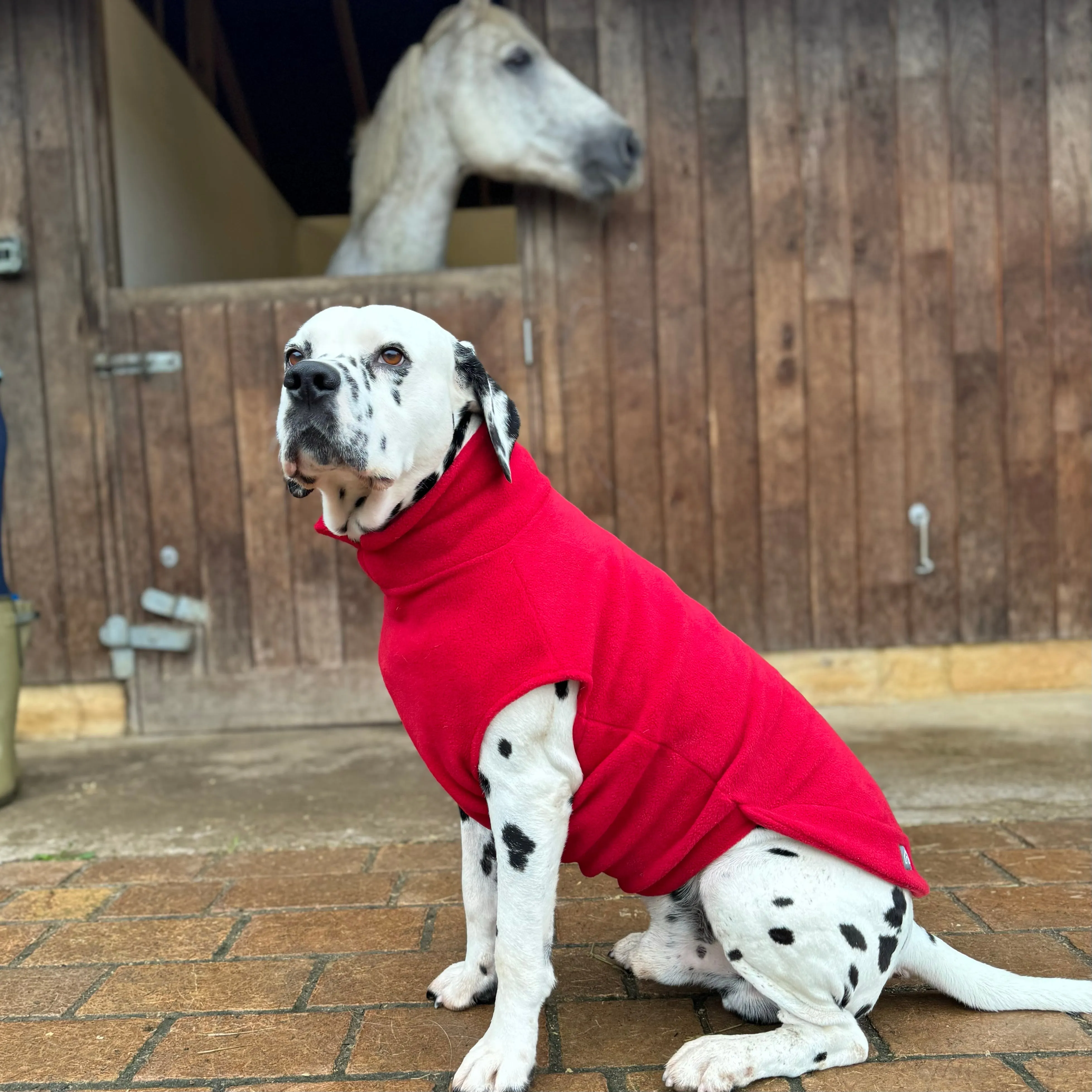 Large Breed Dog Fleece Jumper