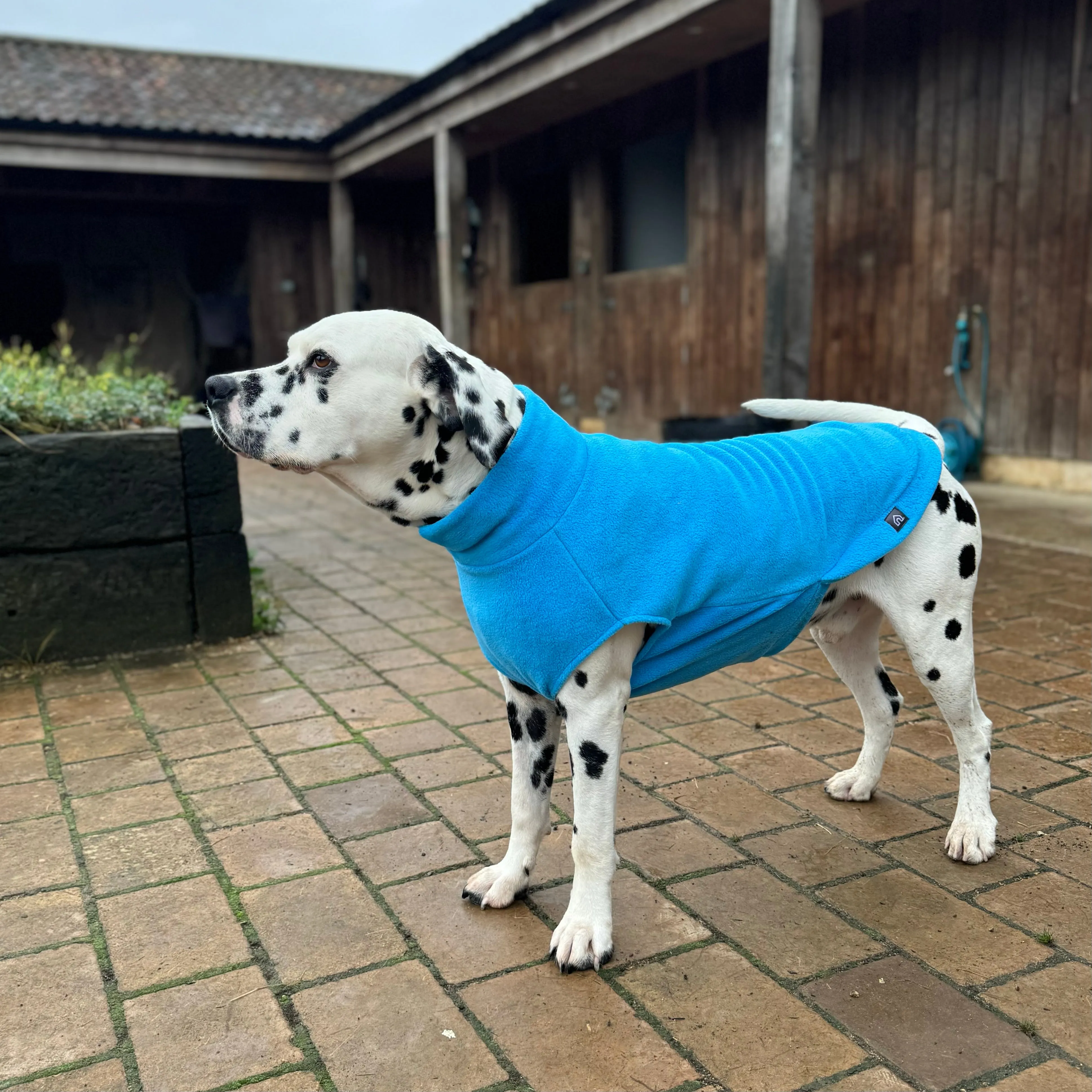 Large Breed Dog Fleece Jumper