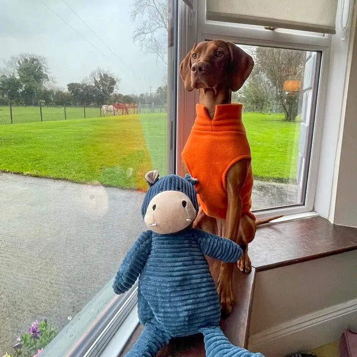 Large Breed Dog Fleece Jumper