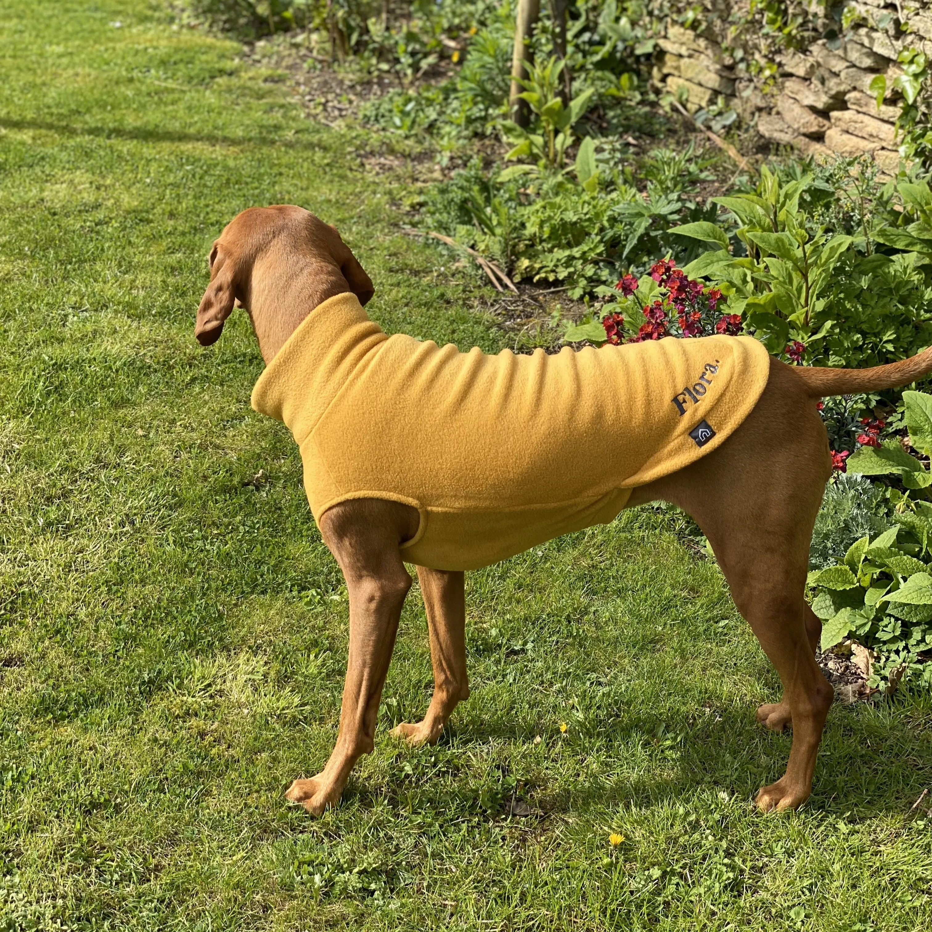 Large Breed Dog Fleece Jumper