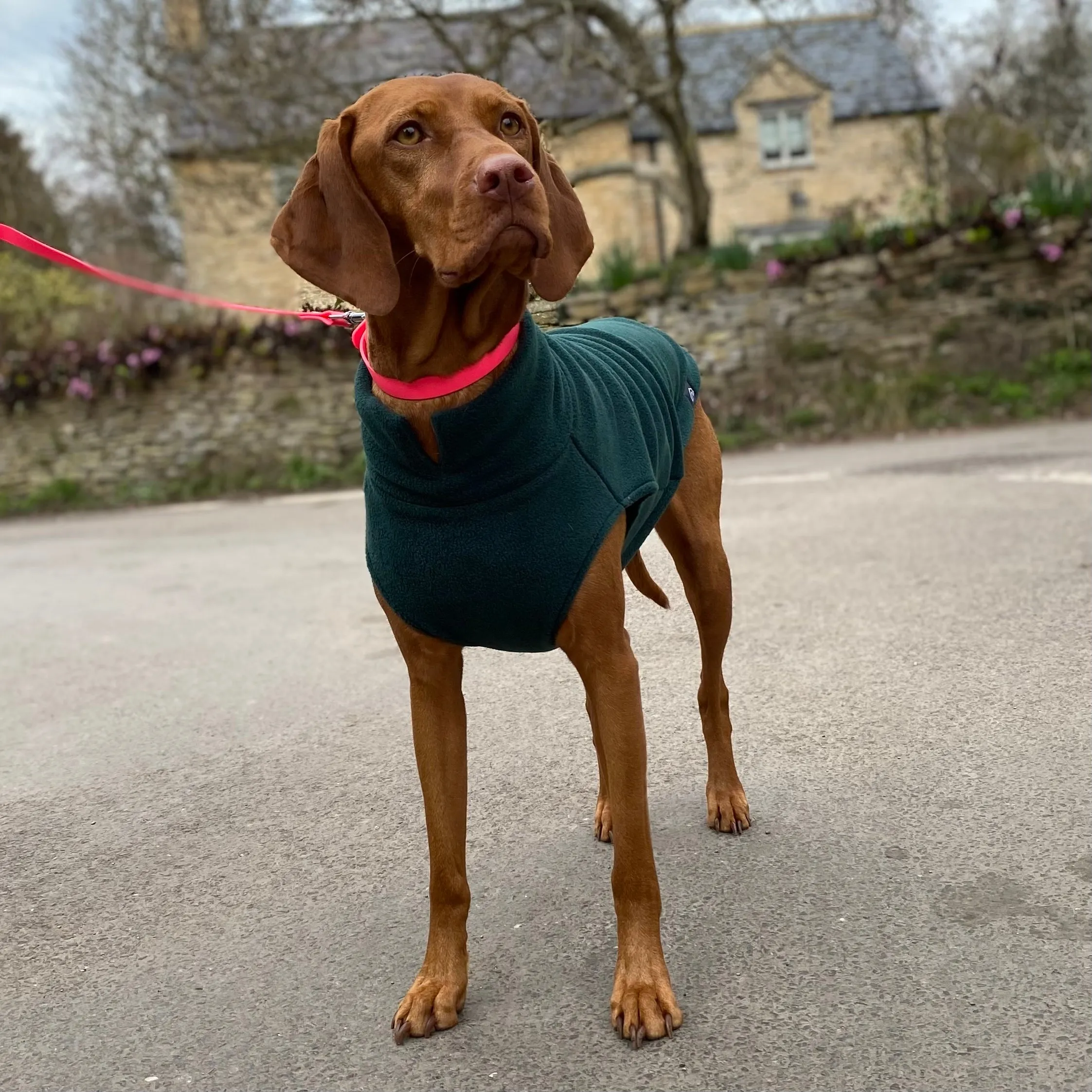 Large Breed Dog Fleece Jumper