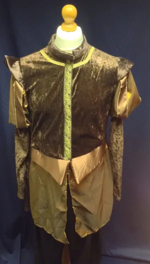 Medieval Man in brown and gold