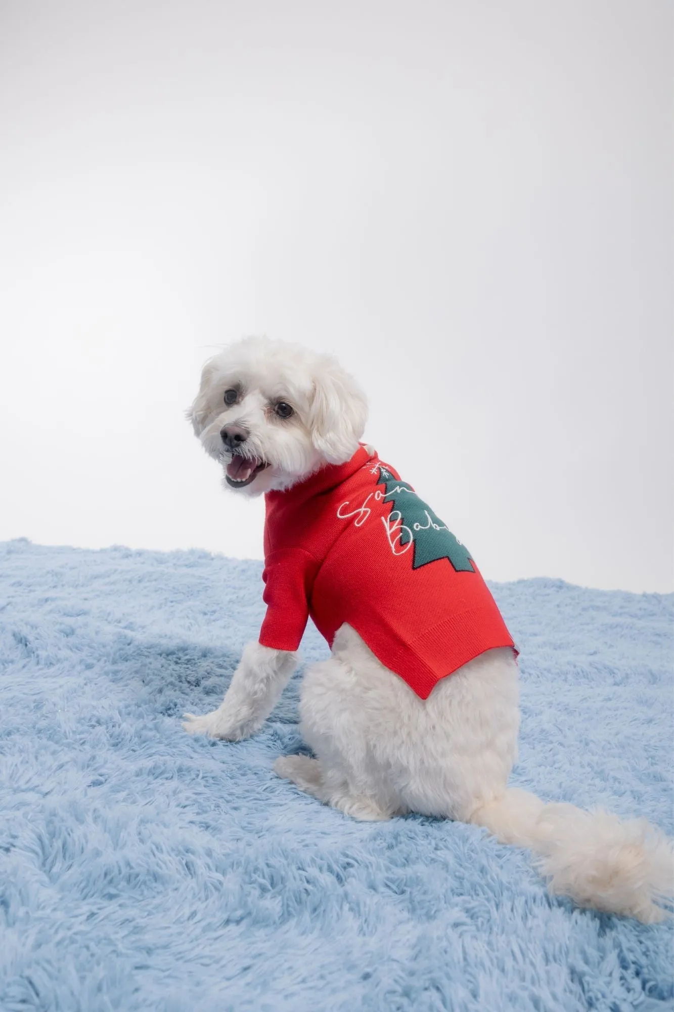 Santa Baby Jumper